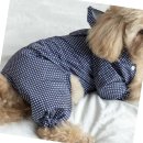 나라애견 이미지