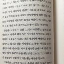 강아지 장례업체 후기와 펫로스증후군으로 힘들어 하고있을 여시들에게..(+수정) 이미지