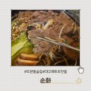 대구 도원동술집 추천. 생일모임으로도 좋은 레트로 컨셉 [순화:순수하게 화려하게]