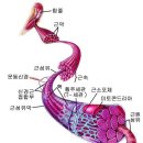 금봉안마원 이미지