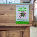 쥬라기동물병원 이미지