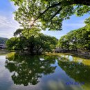 전통건축-10399. 함안 무진정(無盡亭) - 조선 전기의 정자 형식을 그대로 보여주는 중요한 문화유산...