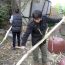 나무와새어린이집 이미지