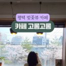 카페고롱고롱 이미지