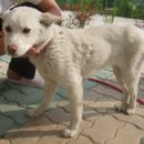 라일락모텔 이미지