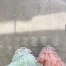 벨로 | 아기 돌 드레스 ‘브데뜨드레스’ [내돈내산]