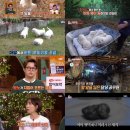 돌무덤농장 이미지