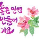 중앙 행정사 사무소 이미지