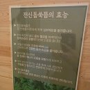 몸사랑힐링센터