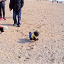 나잡아봐라 이미지