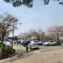 차쉼터 옆 | 지금 가야되는 한식 맛집 / 흥륜사쉼터 후기(벚꽃야장맛집)