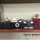 아로케이 이미지