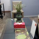 실크행정사사무소 이미지