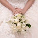 다사파피루스 이미지