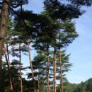 금강 태양광발전소 이미지