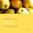 (주)모과