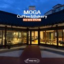 배달의쌀국수 아산점 | [아산카페]아산 탕정 한옥카페 모가(MOGA Coffee&amp;Bakery) 평일 저녁에 다녀온 후기