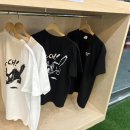 스톤클라이밍짐 이미지