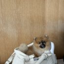 바이한림 네이버블로그
