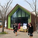 에코하우스 이미지