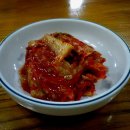 둥지식당 Daum카페