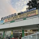 도꾸살롱 | 수원 애견놀이터 ‘888 애견놀이터’ (애견 수영장 보유, 새벽까지 OK)