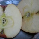 광용농장 이미지