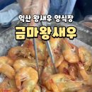 금마왕새우