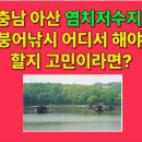 중앙낚시 | 충남 아산권 붕어낚시 명당, 염치저수지 수몰 포인트 정복기