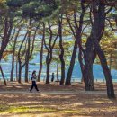 영조농장 이미지