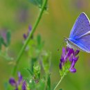 대한철강 이미지