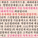 드림팜웰