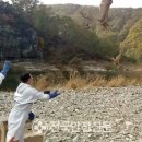 경상북도 야생동물 구조관리센터 이미지