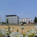 한국관광고등학교 네이버블로그