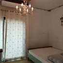 블랙트리하우스 이미지