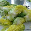 햇다래마을 이미지