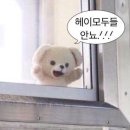 2월에 사고 팔고 받고 버린 것들