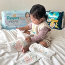 (주)파파소프트 | 팸퍼스 서포터즈 팸둥이의 하루 일상 흡수력 괴물 낮밤 기저귀 소개