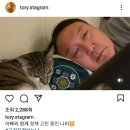 도리도리 이미지