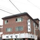 대일정 이미지