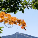 대관령하우스 이미지