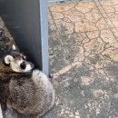 고유종농장 이미지