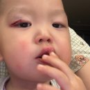 수병원 이미지