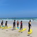 우리들의월정리 이미지