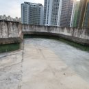 분당중학교 이미지