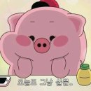 국민생막창 이미지