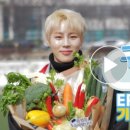 구르미김밥 이미지