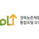 원플라워허브와꽃이야기