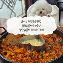 철판위에 닭갈비 | 남이섬 애견동반맛집 힐링닭갈비가평본점 철판닭갈비 치즈추가후기