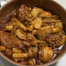 올가펫 | 2025년 12월 14일 일요일